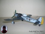 Focke Wulf Fw-190A-5 (10).JPG

66,11 KB 
1024 x 768 
28.06.2014
